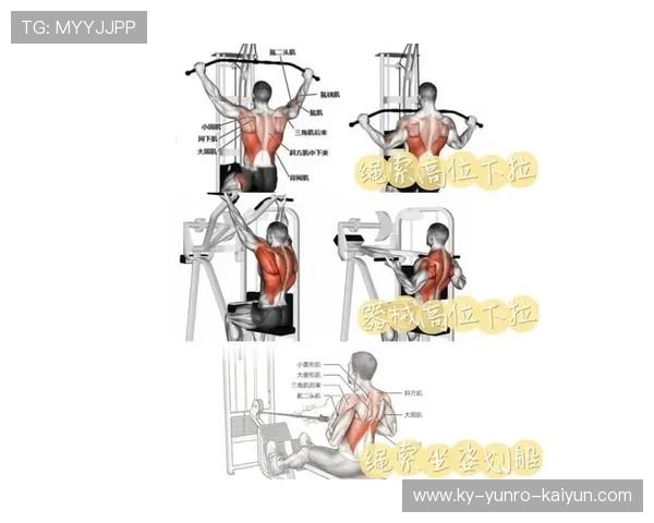 练背部肌肉的健身器材有效推荐与练法技巧